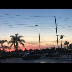 Meet your Posher, Daisy